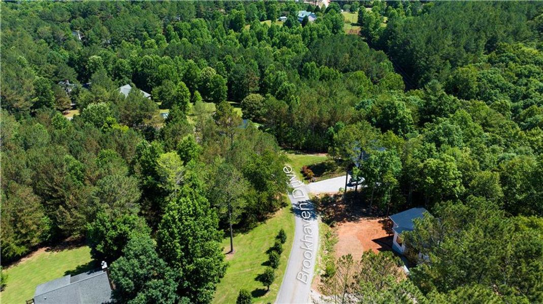 Natural landscape and outdoor views near  in Blairsville (Image 32).