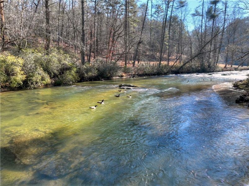 Natural landscape and outdoor views near  in Ellijay (Image 53).