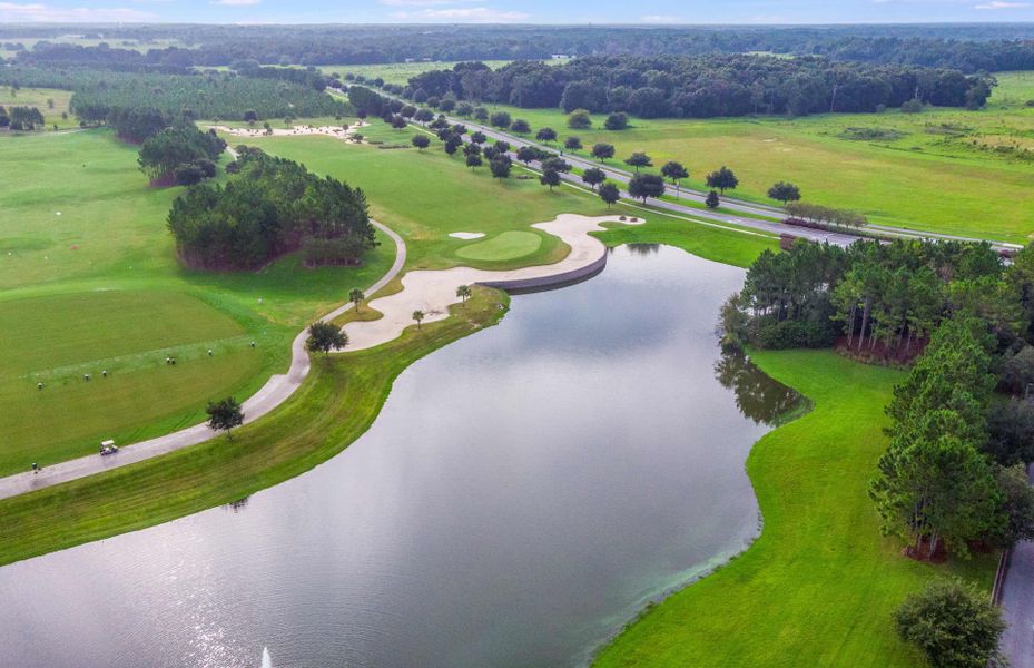Natural landscape and outdoor views near Del Webb Stone Creek in Ocala (Image 22). Natural landscape and outdoor views near Del Webb Stone Creek in Ocala (Image 22).