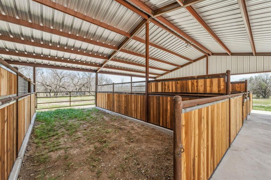View of horse barn