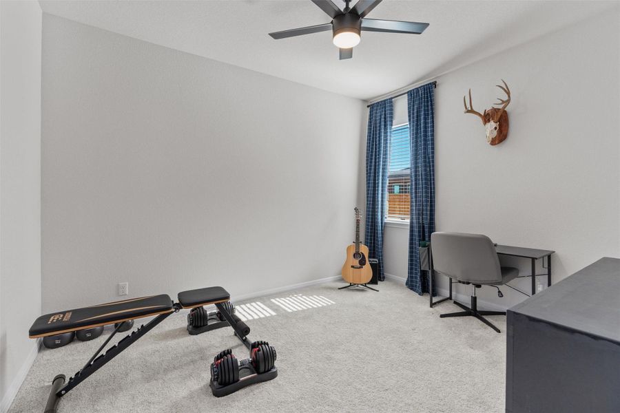 Exercise room featuring carpet and a ceiling fan