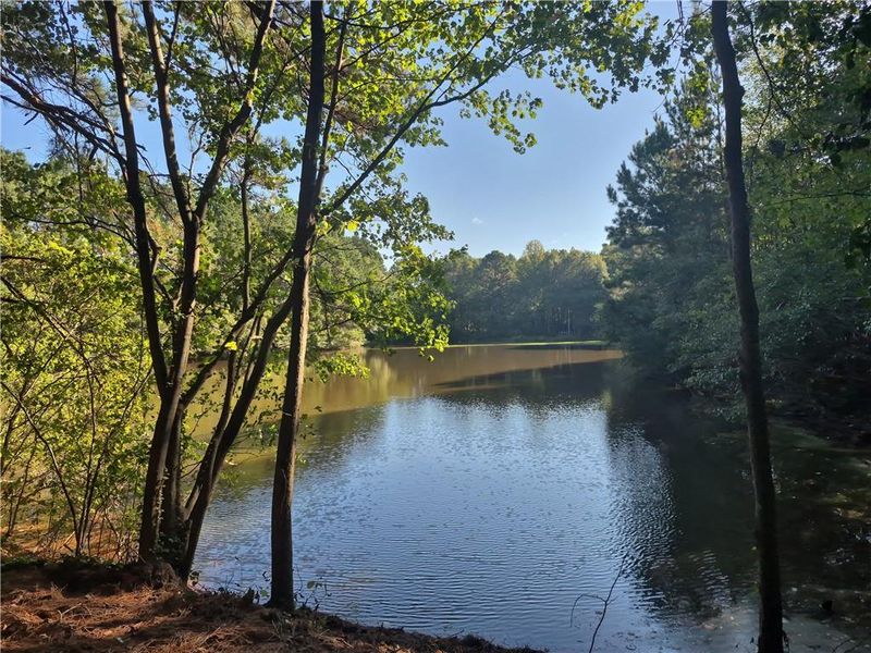 Natural landscape and outdoor views near  in Grayson (Image 32).