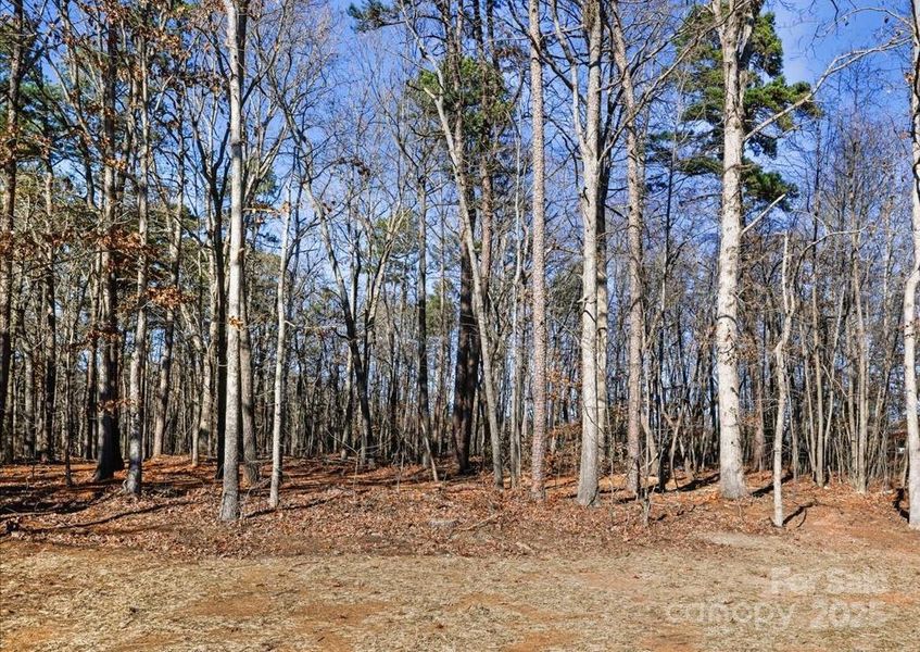 Natural landscape and outdoor views near in Rockwell (Image 20). Natural landscape and outdoor views near in Rockwell (Image 20).