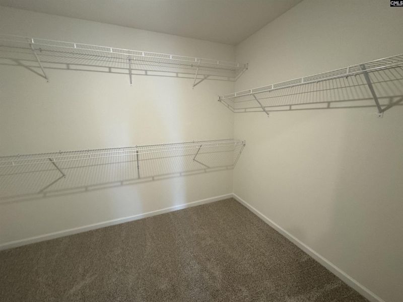 Spacious, unfurnished interior of a new home in Boykin Hills, Chapin (Image 47).