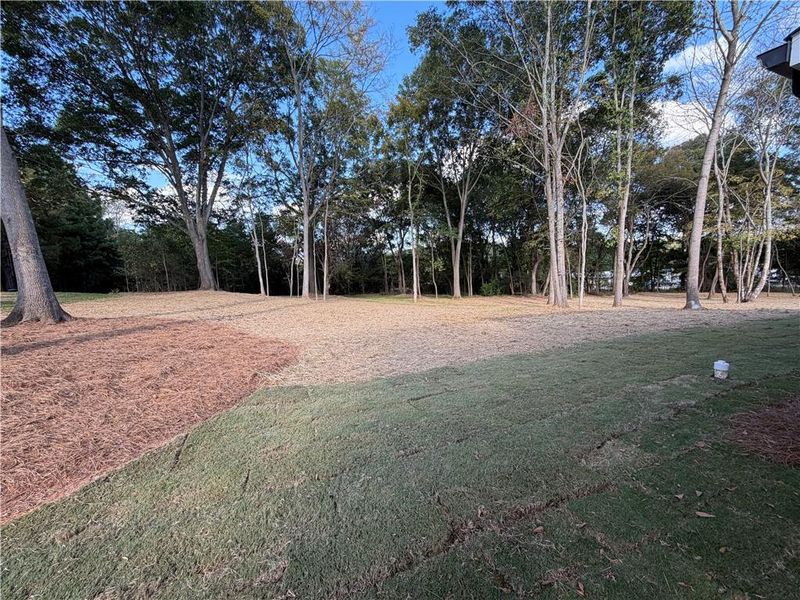 Natural landscape and outdoor views near  in Jefferson (Image 29).