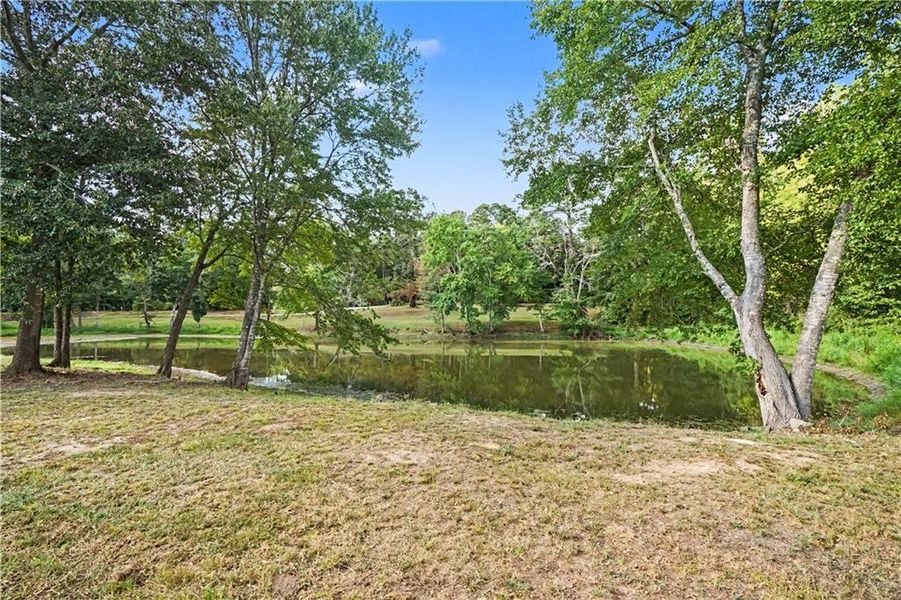 Natural landscape and outdoor views near  in Covington (Image 39).