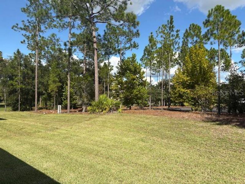 Natural landscape and outdoor views near Juliette Falls in Dunnellon (Image 3).