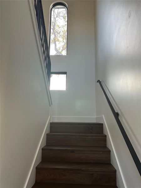 Staircase featuring dark wood-finish treads and risers with white trim