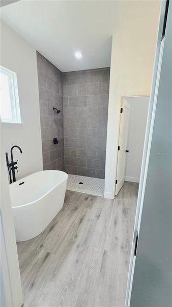 Furnished interior view inside a new home in , Ocala (Image 11).