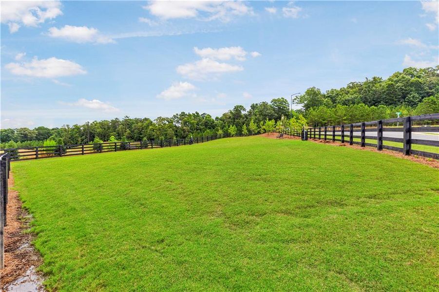 Natural landscape and outdoor views near in Calhoun (Image 51). Natural landscape and outdoor views near in Calhoun (Image 51).