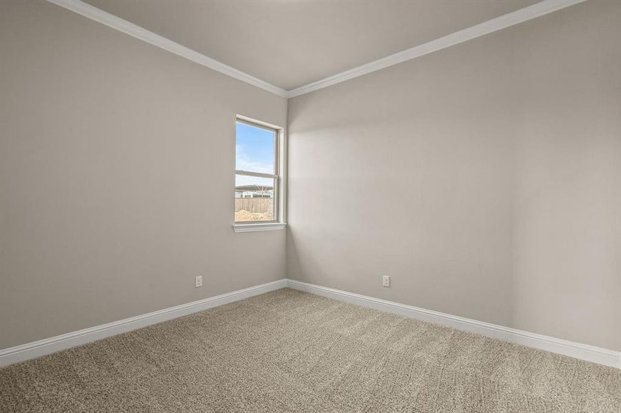 Unfurnished room with ornamental molding and carpet Unfurnished room with ornamental molding and carpet