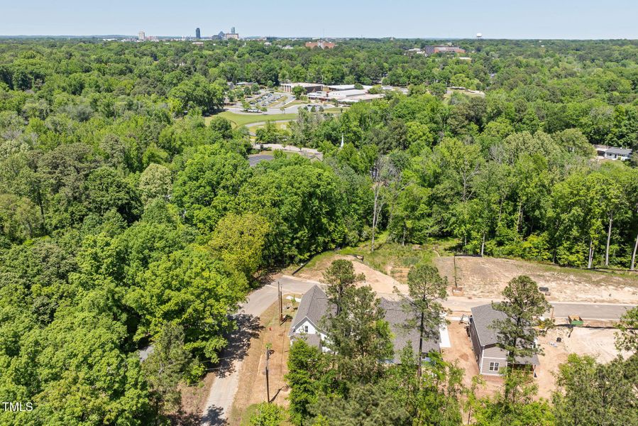 5-web-or-mls-DJI_0964