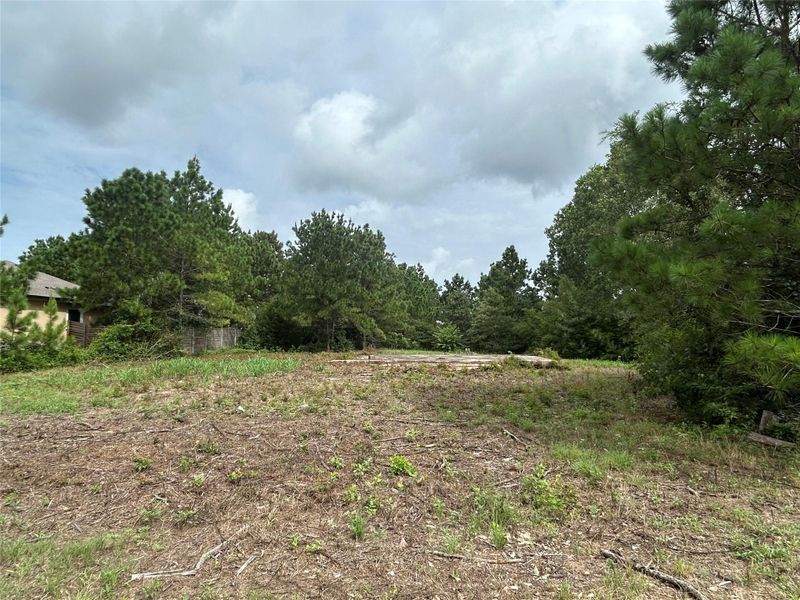 Natural landscape and outdoor views near  in Paige (Image 6).