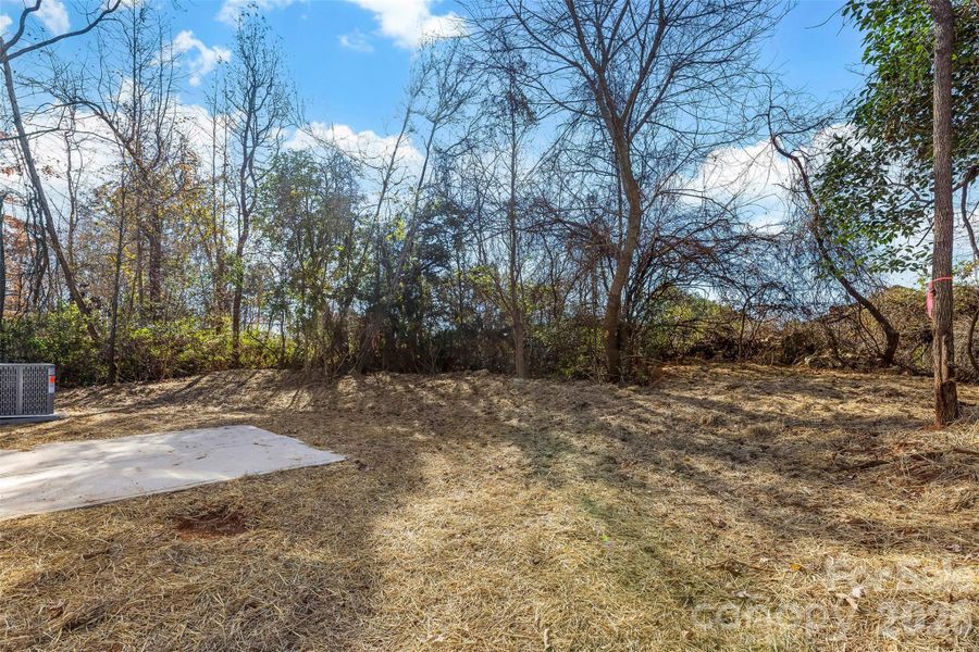 Natural landscape and outdoor views near  in East Spencer (Image 38).
