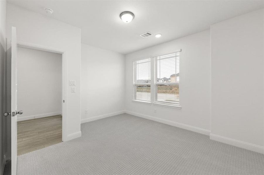 Garland_13_Representative Photo