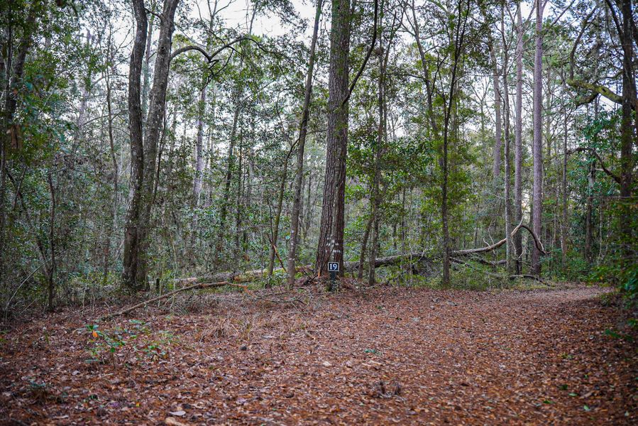 Natural landscape and outdoor views near in Dorchester (Image 27). Natural landscape and outdoor views near in Dorchester (Image 27).