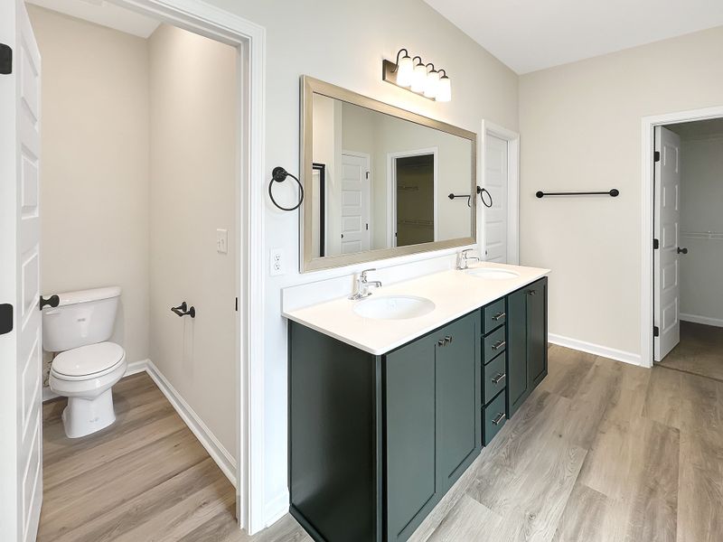 Furnished interior view inside a new home in Tibet Road at Sassafras, Allenhurst (Image 10).