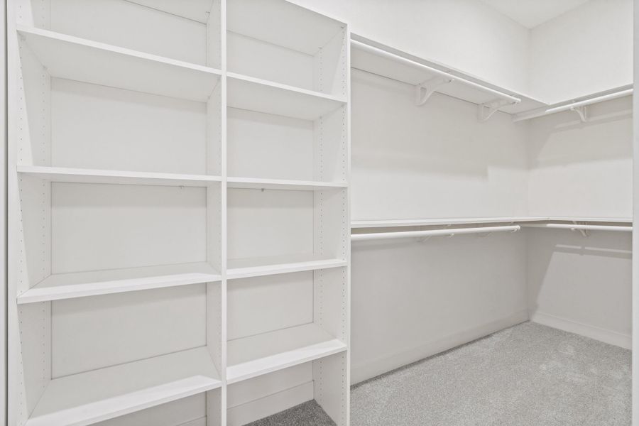 Walk in closet featuring light carpet