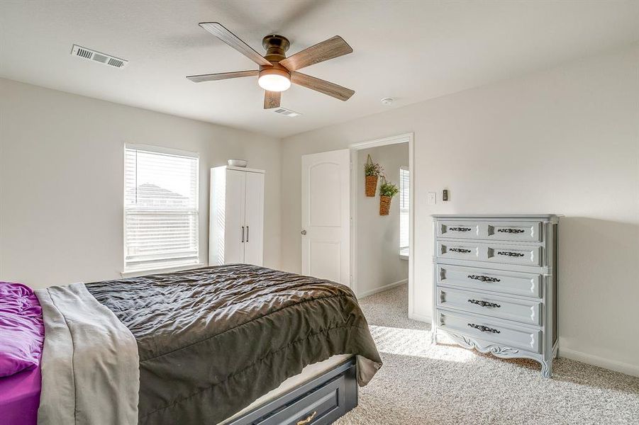 Carpeted bedroom featuring multiple windows and ceiling fan