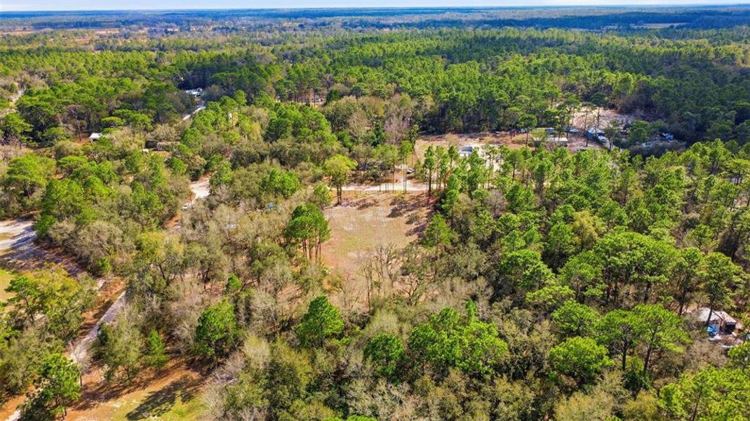 Natural landscape and outdoor views near  in Dunnellon (Image 29).