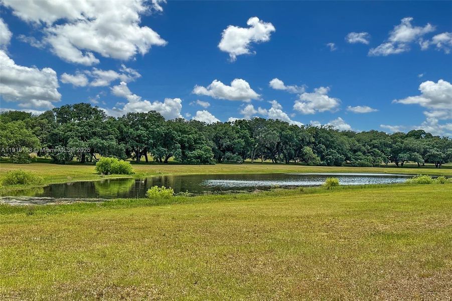 Natural landscape and outdoor views near  in Dunnellon (Image 32).