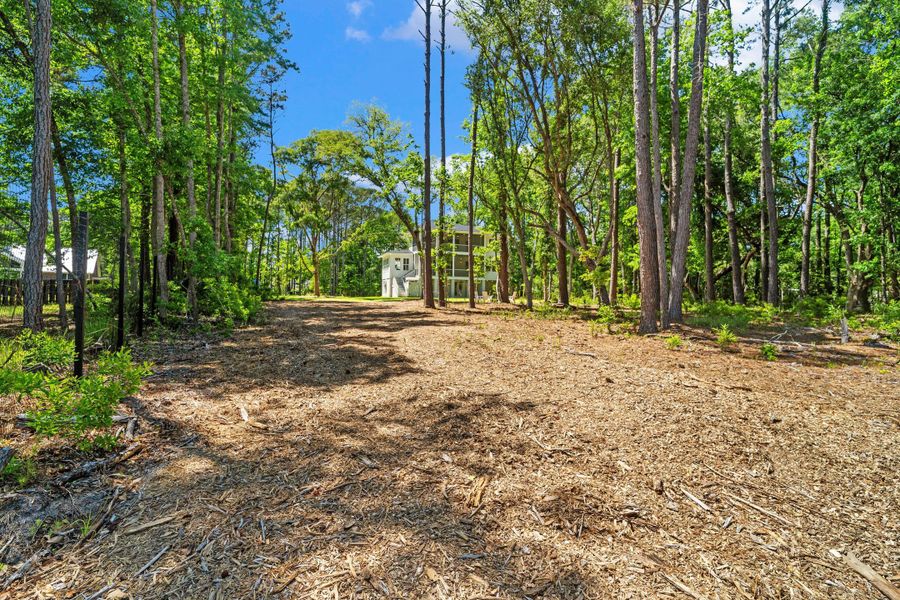 Natural landscape and outdoor views near  in Awendaw (Image 60).