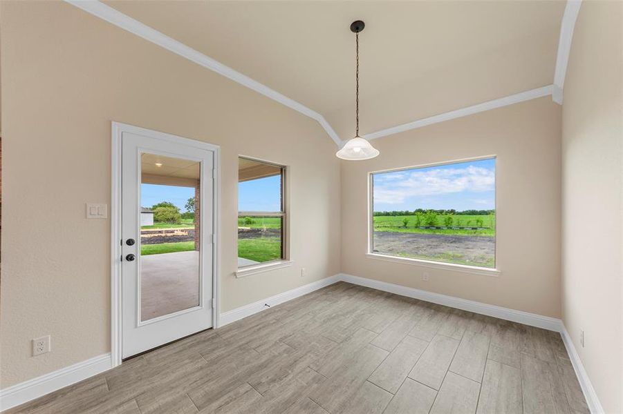 Unfurnished room featuring light wood-style floors, vaulted ceiling, ornamental molding, and baseboards