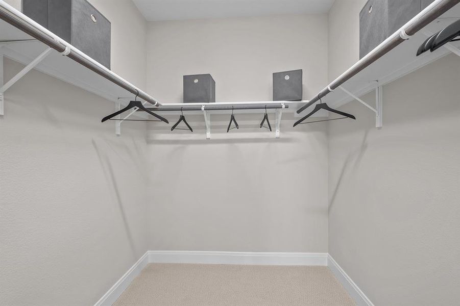 Walk in closet with light colored carpet