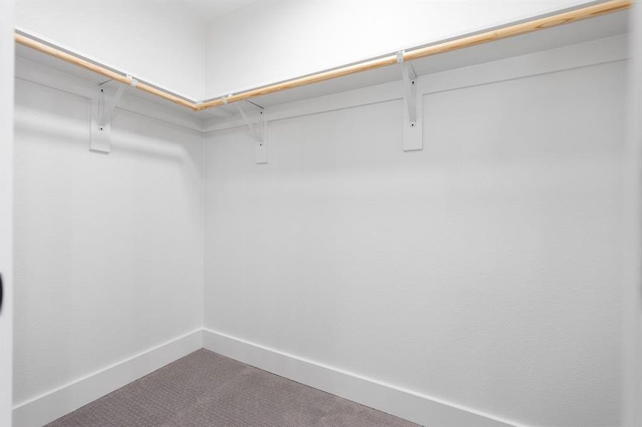 Spacious closet with carpet