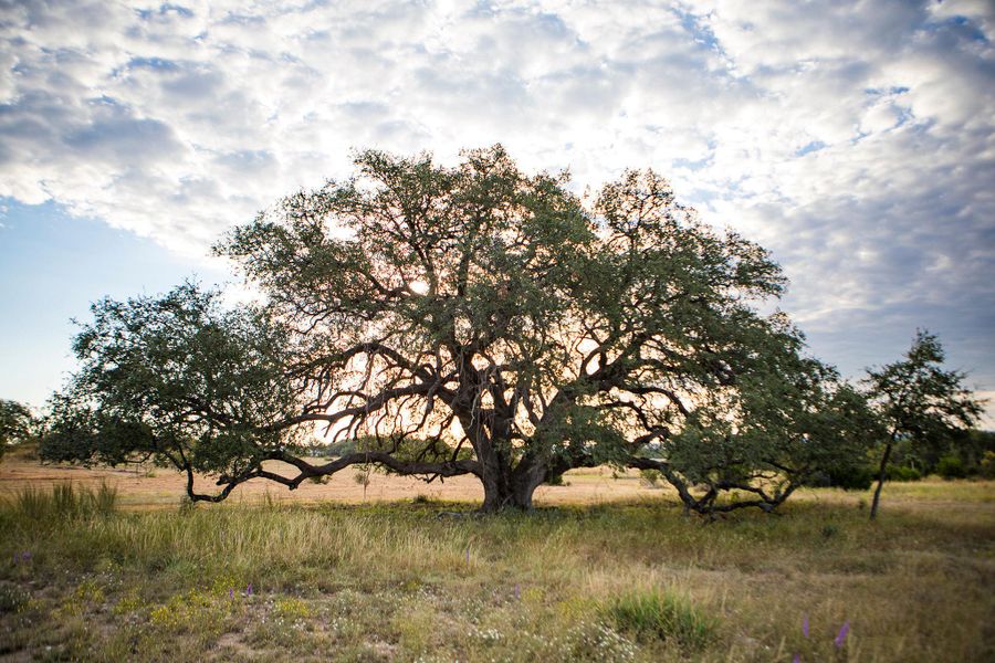 View of nature featuring rural landscape View of nature featuring rural landscape
