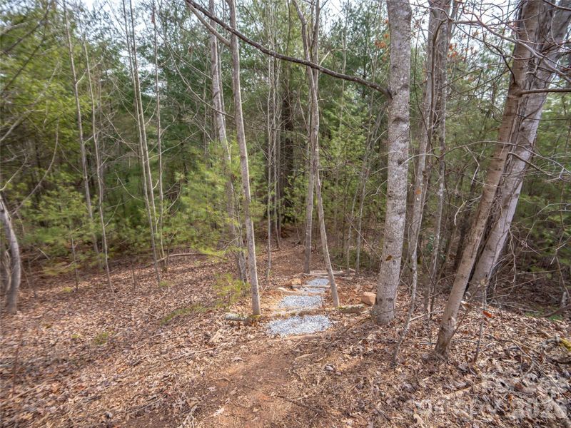 Natural landscape and outdoor views near  in Asheville (Image 5).