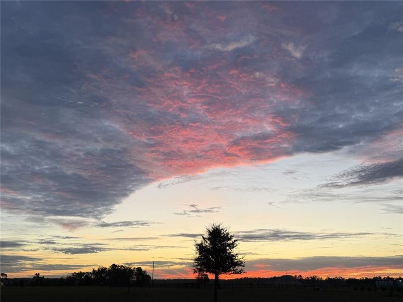 Natural landscape and outdoor views near  in Dade City (Image 62).