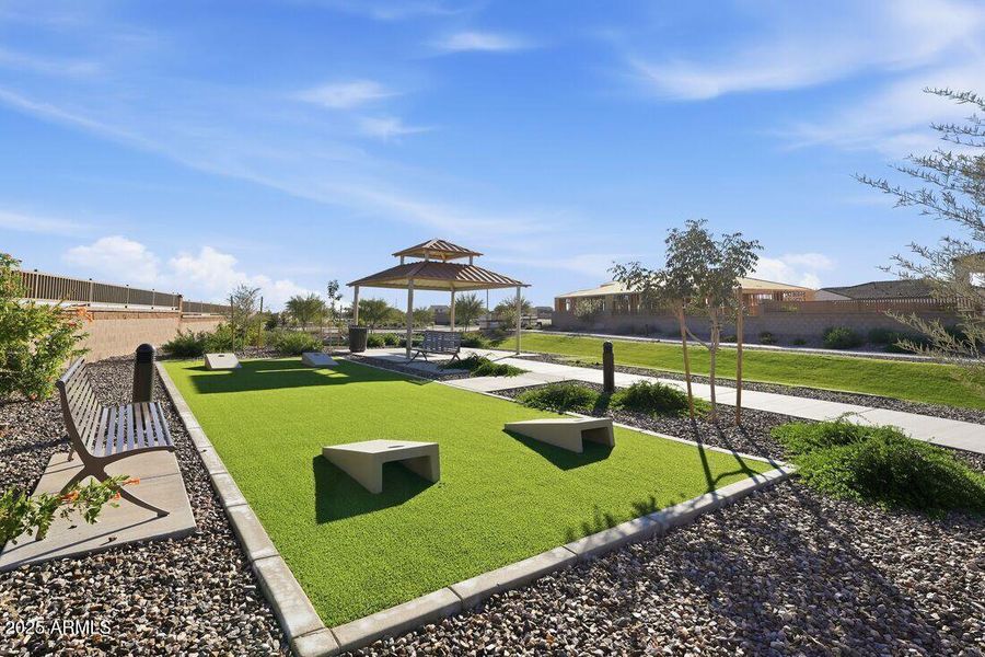 Community Photo Community Photo