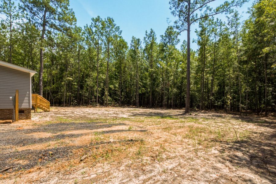 Natural landscape and outdoor views near in Summerton (Image 43). Natural landscape and outdoor views near in Summerton (Image 43).