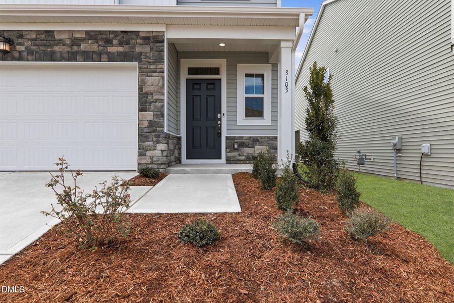 SUN_WesleyDowns_Pic_Davidson-20