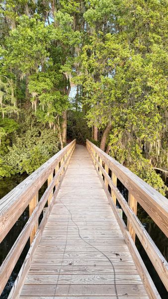 Natural landscape and outdoor views near in Hanahan (Image 35). Natural landscape and outdoor views near in Hanahan (Image 35).