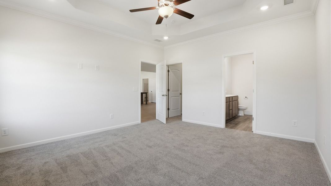 another view of the primary another view of the primary