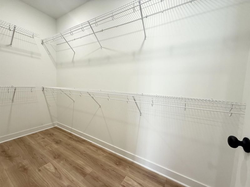 Walk in closet with wood finished floors
