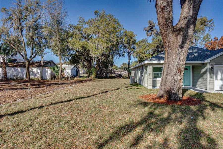 Natural landscape and outdoor views near  in Bartow (Image 37).
