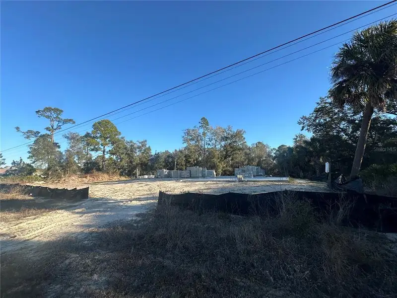 Natural landscape and outdoor views near  in North Port (Image 7).