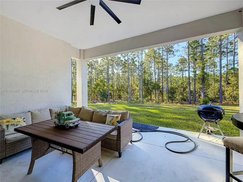 Covered concrete patio featuring a ceiling fan and a backdrop of mature pine trees