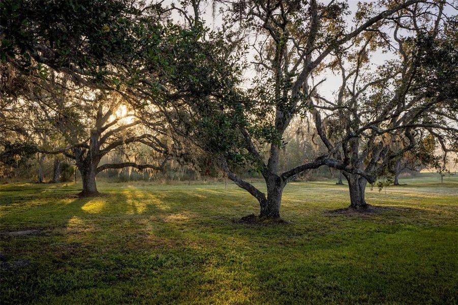 Natural landscape and outdoor views near  in Myakka City (Image 9).