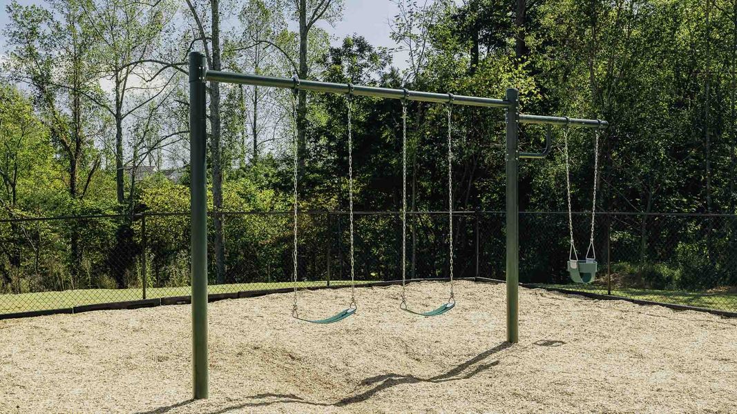 Community amenities in Chandler Pointe, Rural Hall (Image 24).