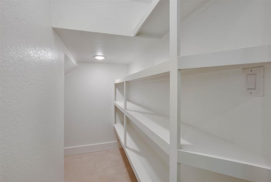 Pantry and under the stairs storage