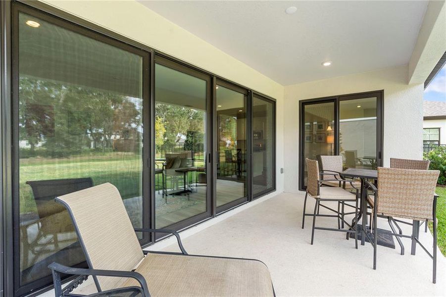 Exterior details and patio area of a home in Hawkstone, Lithia (Image 24).