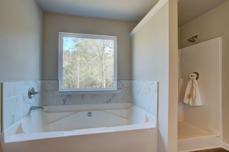 Optional Tub and Shower in Primary Bath