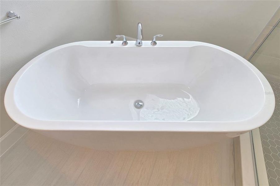 Furnished interior view inside a new home in Bay Lake Farms, St. Cloud (Image 14).