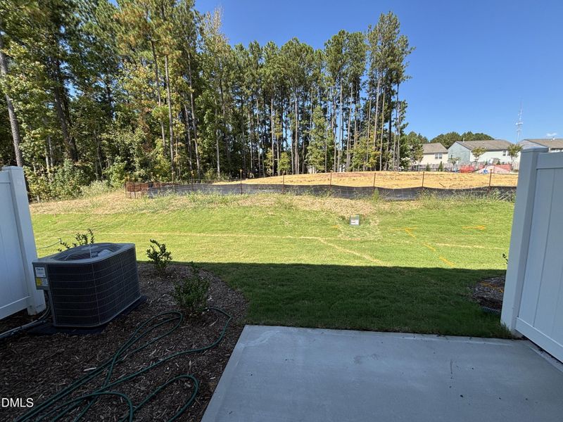 SUN_BullCityNorth_Pic_Cameron_Back_1of1 SUN_BullCityNorth_Pic_Cameron_Back_1of1