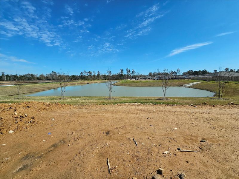 Site preparation for new homesites in , Conroe (Image 5).