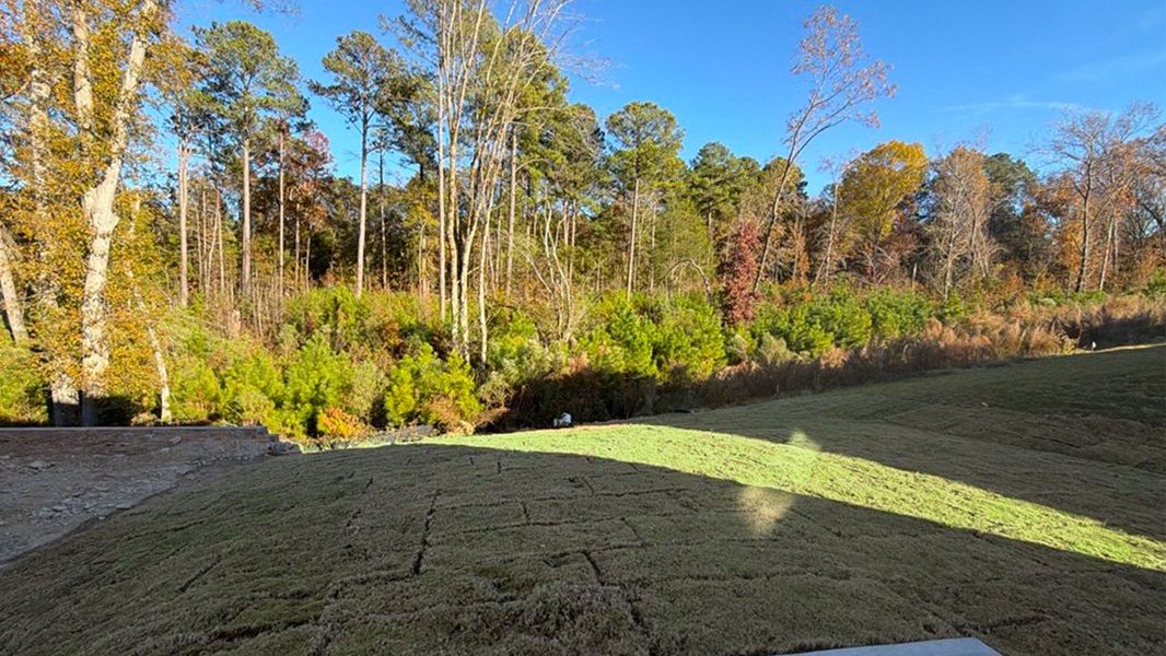 Natural landscape and outdoor views near Livingston Woods in Irmo (Image 34). Natural landscape and outdoor views near Livingston Woods in Irmo (Image 34).